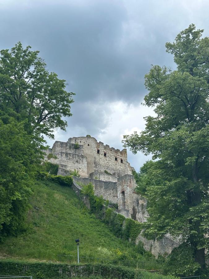Ferienwohnung Zur Roni Treuchtlingen Εξωτερικό φωτογραφία